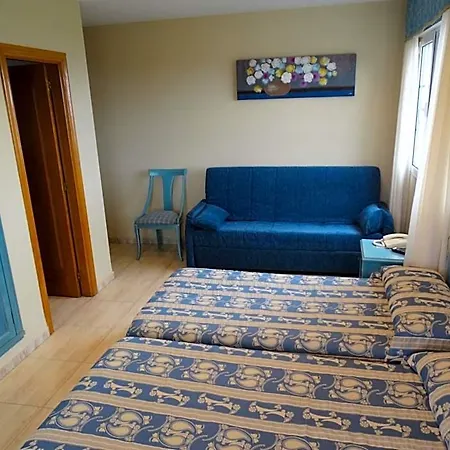 Juncos Noja